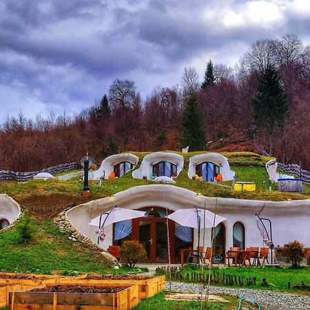 Pensiunea Dealul Verde Porumbacu de Sus Dış mekan fotoğraf
